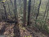 LOT 73 Dach Bruecke Gasse - Photo 6