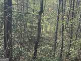 LOT 73 Dach Bruecke Gasse - Photo 9