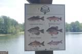 LOT 19 Yonah Lake Drive - Photo 9