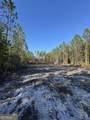 4490 Ga Highway 259 - Photo 3