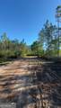 4490 Ga Highway 259 - Photo 6