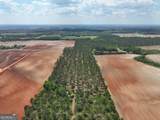 0 Poplar Springs Road - Photo 20