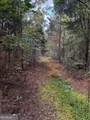 230 Dodgen Road - Photo 10