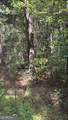230 Dodgen Road - Photo 3