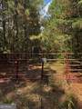 230 Dodgen Road - Photo 6