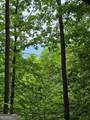#28 Overlook Loop - Photo 12