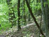 #28 Overlook Loop - Photo 13