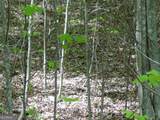 #28 Overlook Loop - Photo 14
