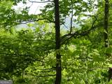 #28 Overlook Loop - Photo 15
