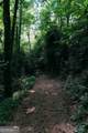 177 Antler Drive - Photo 47