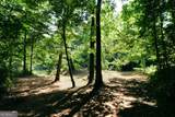 177 Antler Drive - Photo 48