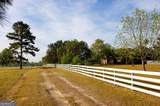 5391 Big Pine Road - Photo 17