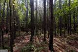 5391 Big Pine Road - Photo 40