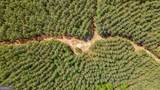0 Brewer's Bridge Road - Photo 25