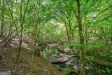 0 Brewer's Bridge Road - Photo 9