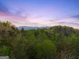 327 Dancing Trees Trail - Photo 3