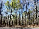 LOT 93 Doll Mountain Road - Photo 10