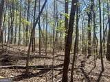 LOT 93 Doll Mountain Road - Photo 3