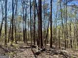 LOT 93 Doll Mountain Road - Photo 4