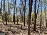 LOT 93 Doll Mountain Road - Photo 6