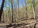 LOT 93 Doll Mountain Road - Photo 8