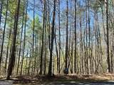 LOT 92 Doll Mountain Road - Photo 10