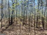 LOT 92 Doll Mountain Road - Photo 3
