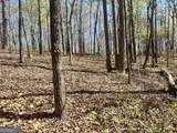 LOT 92 Doll Mountain Road - Photo 4