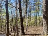 LOT 92 Doll Mountain Road - Photo 6