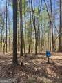 LOT 92 Doll Mountain Road - Photo 8
