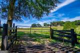 746 Dot Road - Photo 59