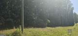 LOT 55 Groundhog Drive - Photo 4