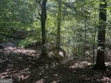 8.2 ACRES Roy Parks Road - Photo 15