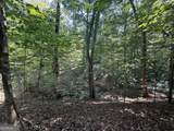 8.2 ACRES Roy Parks Road - Photo 16