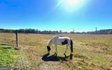 486 County Line Road - Photo 18