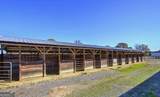 486 County Line Road - Photo 27