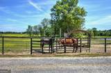 486 County Line Road - Photo 32