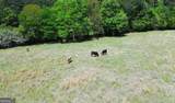 486 County Line Road - Photo 33