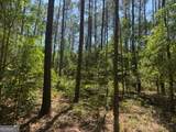 4008 Horseshoe Road - Photo 13
