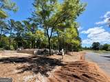 1499 Sapelo Park Drive - Photo 6