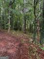 0 Ryman Ridge - Photo 3