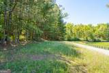 LOT 3 Spring Camp Road - Photo 13