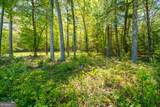 LOT 3 Spring Camp Road - Photo 7
