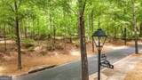 221 Cove Drive - Photo 15