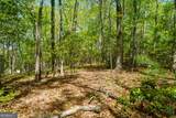 LOT 35 Spring Camp Road - Photo 10