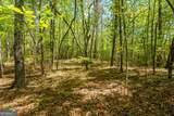 LOT 35 Spring Camp Road - Photo 12