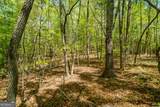 LOT 35 Spring Camp Road - Photo 13