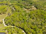 LOT 35 Spring Camp Road - Photo 17