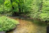LOT 35 Spring Camp Road - Photo 32