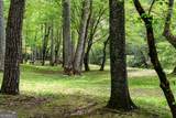 LOT 35 Spring Camp Road - Photo 33